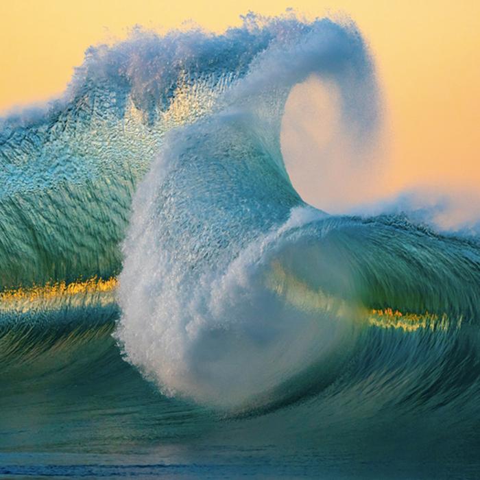 The Epoch Times