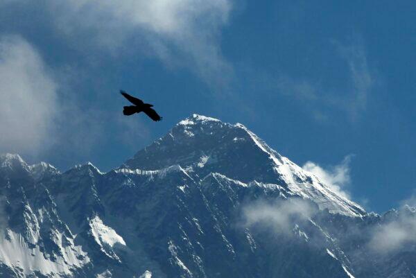 A bird flies with Mount Everest seen in the background from Namche Bajar, Solukhumbu district, Nepal, on May 27, 2019. (Niranjan Shrestha/AP Photo)
