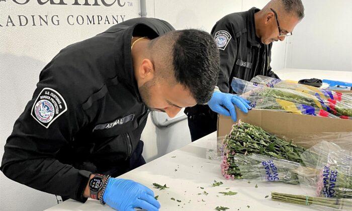 California Border Protection Inspects Imported Flowers for Mother’s Day