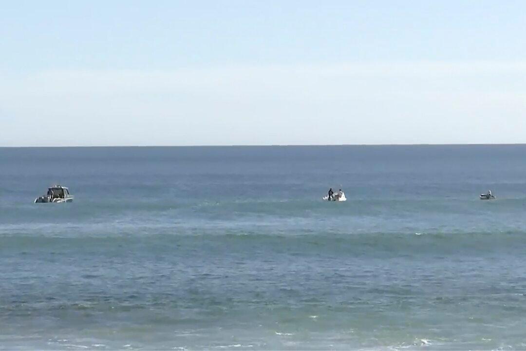 Pieces That May Be From Wetsuit, Surfboard Found After Surfer Attacked by Shark Off South Australia