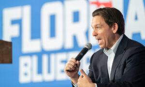 DeSantis Cuts Diversity, Equity, Inclusion Spending From Florida Universities