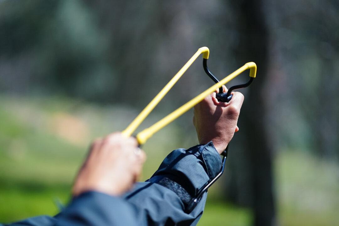 Michigan Boy Uses a Slingshot to Save His Sister From Being Abducted From Backyard, Police Say
