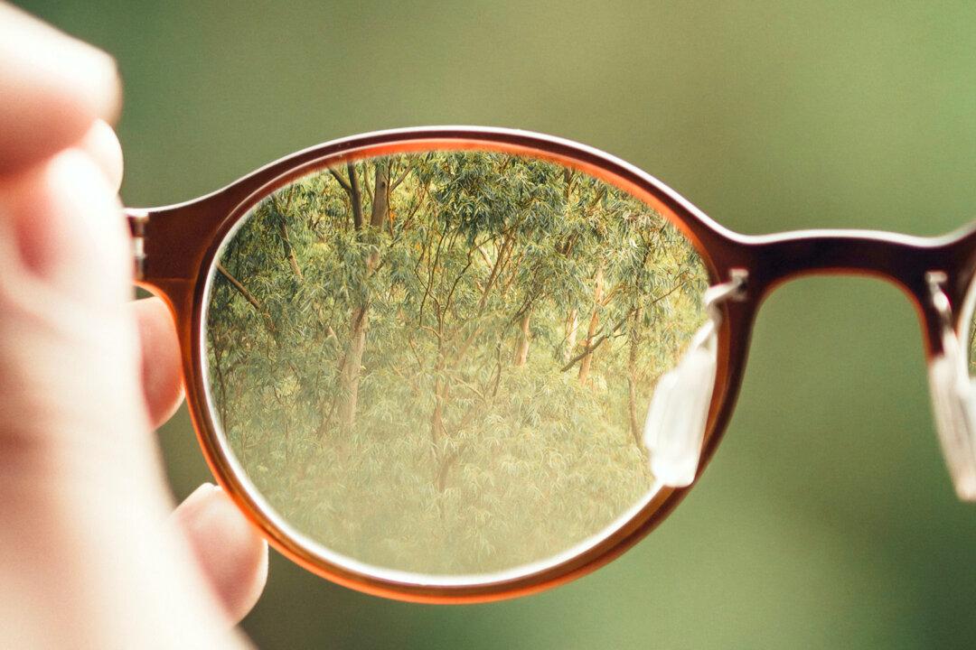 A Healthy Habit for Strong Vision