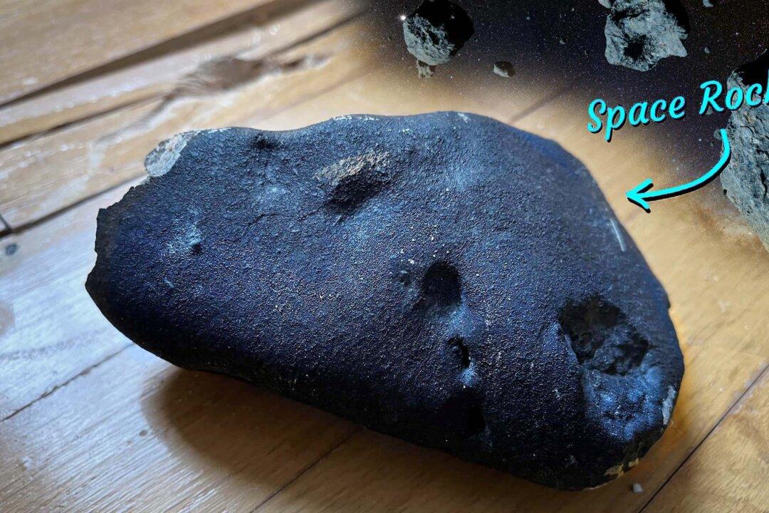 Homeowner Finds Rock That Crashed Through Roof Revealed as Ancient Meteorite From Asteroid Belt