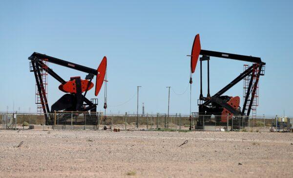 Oil pump jacks at the Vaca Muerta shale oil and gas deposit in the Patagonian province of Neuquén, Argentina, on Jan. 21, 2019. (Agustin Marcarian/Reuters)