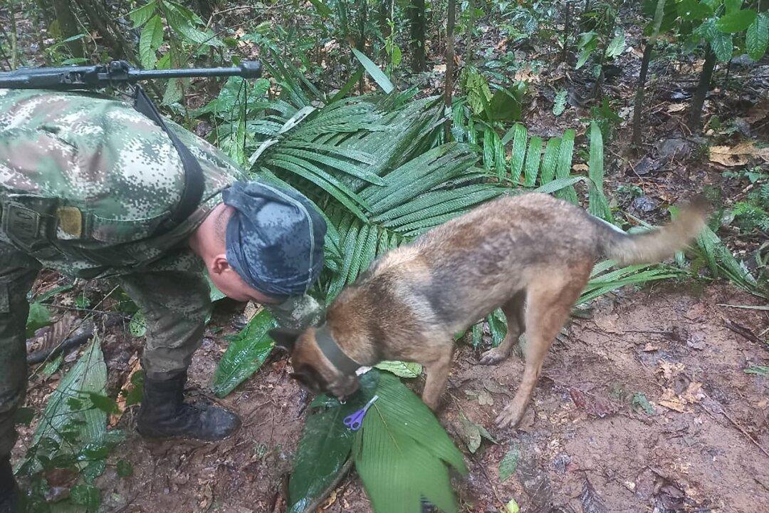 Fate of Colombia Plane Crash Children Unknown; Petro Deletes Tweet