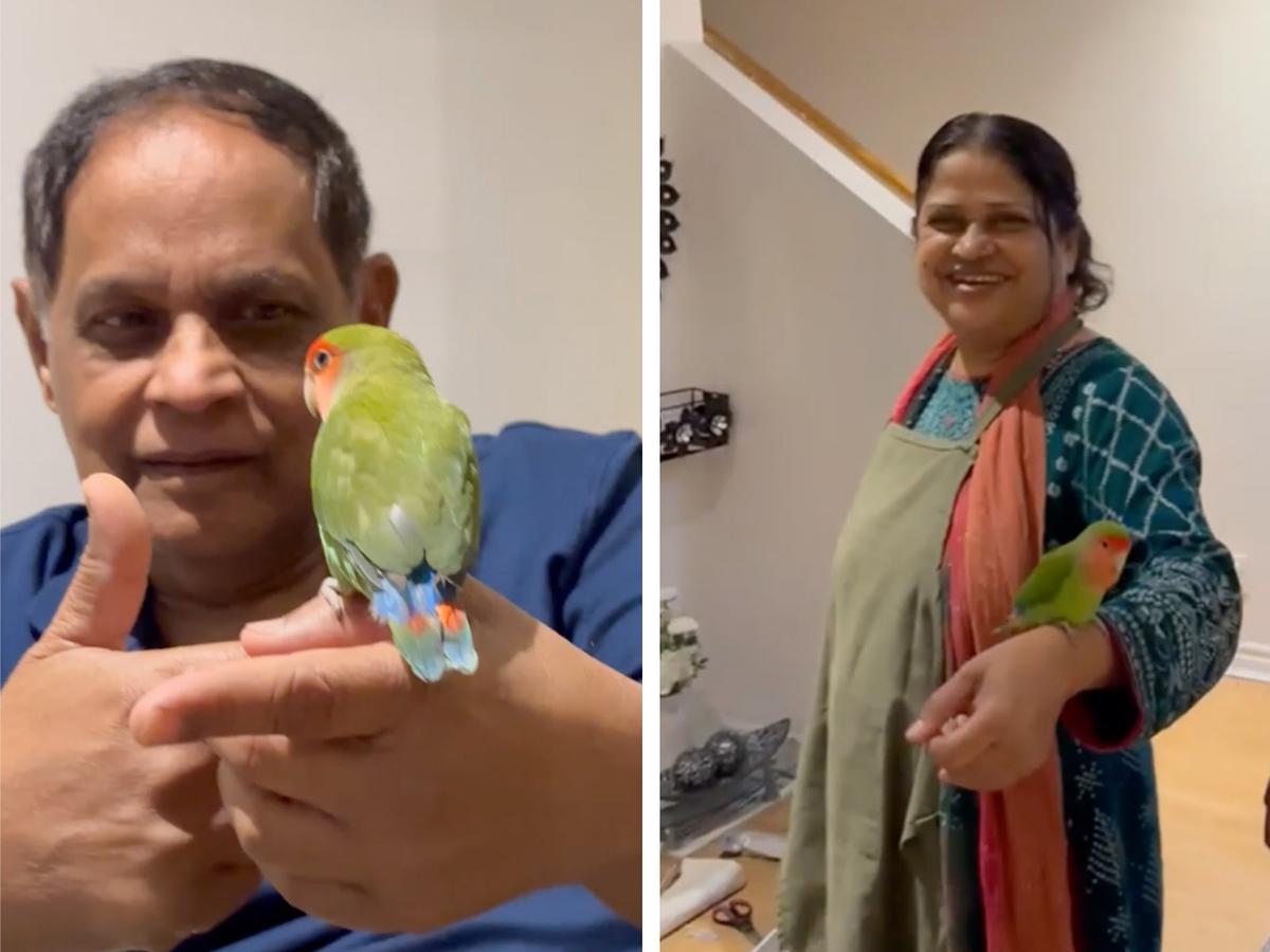 Sultana Patwary introduced the bird, whom she named Olive, to her family, and they appeared to take to each other in no time. (Screenshot/Newsflare)