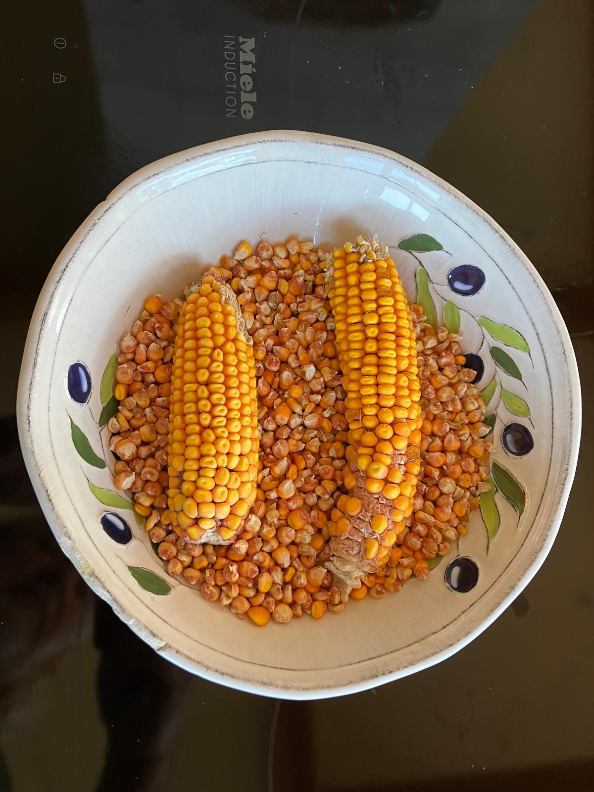 Heirloom corn from the author's 2022 harvest. (Eric Lucas)