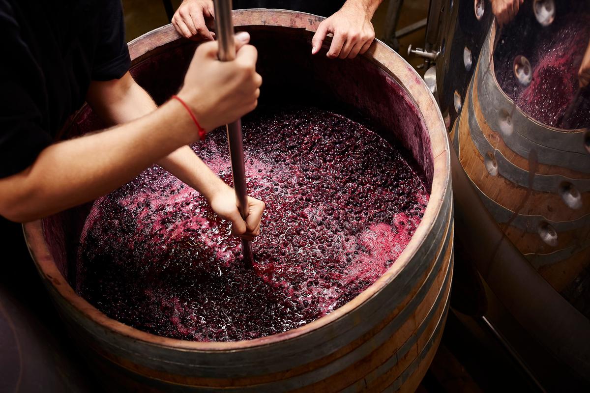Making wine is a time-honored process, in which some make only a few cases each year for their own enjoyment, while others operate large-scale businesses. (Morsa Images/Getty Images)