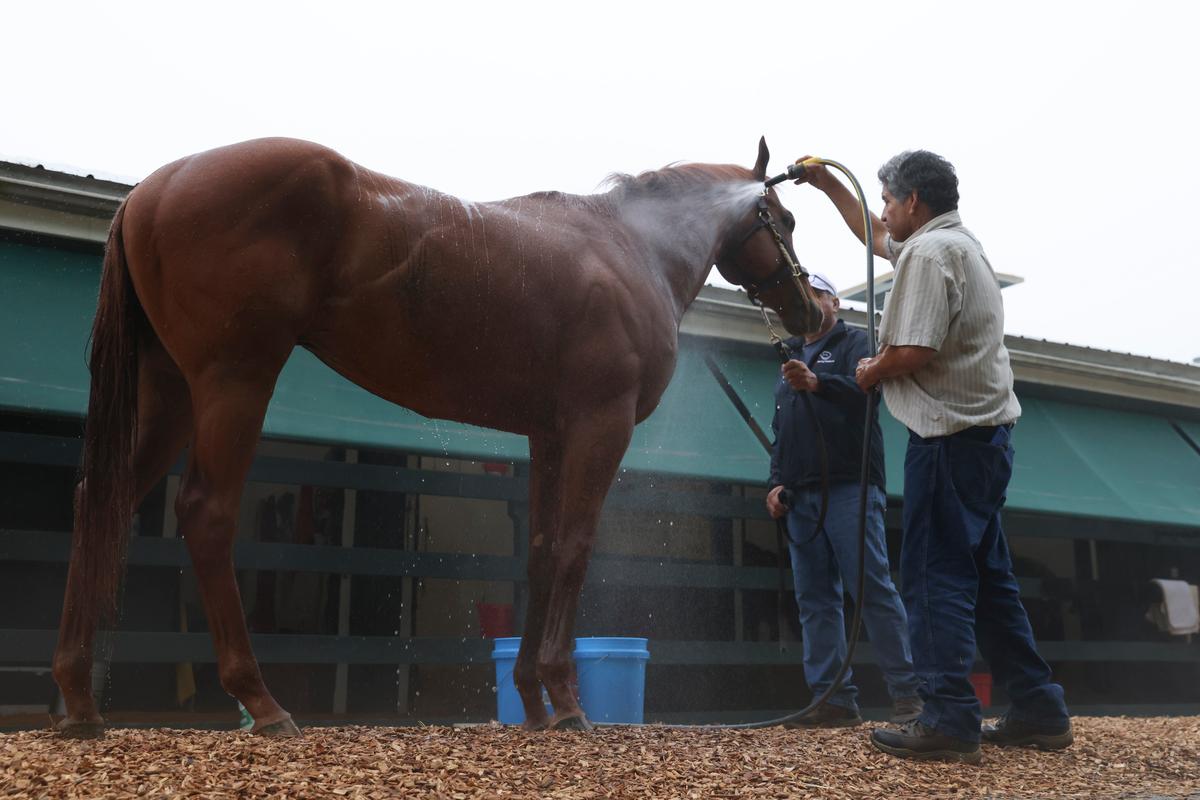 Mage’s Triple Crown Bid Ends After Finishing 3rd in Preakness