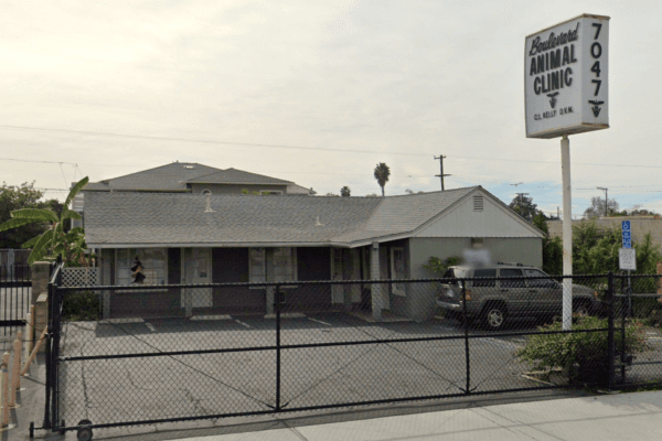 Boulevard Animal Clinic on El Cajon Boulevard in San Diego. (Screenshot via GoogleMaps.com)