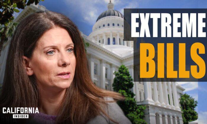 Ex-Lawmaker Issues Dire Warning on New California Laws | Melissa Melendez