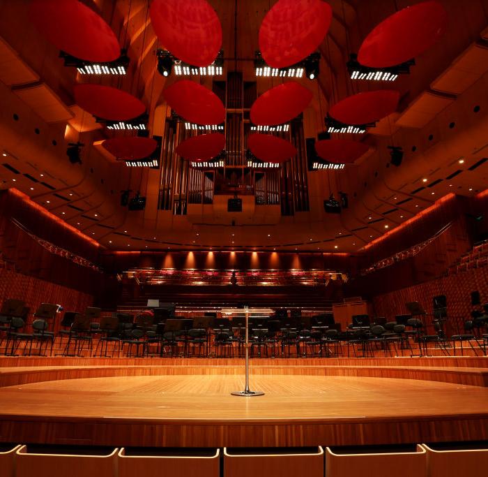 The Singer Betting Big on Artistic Freedom Over Ideology and Taxpayer-Backed Grants