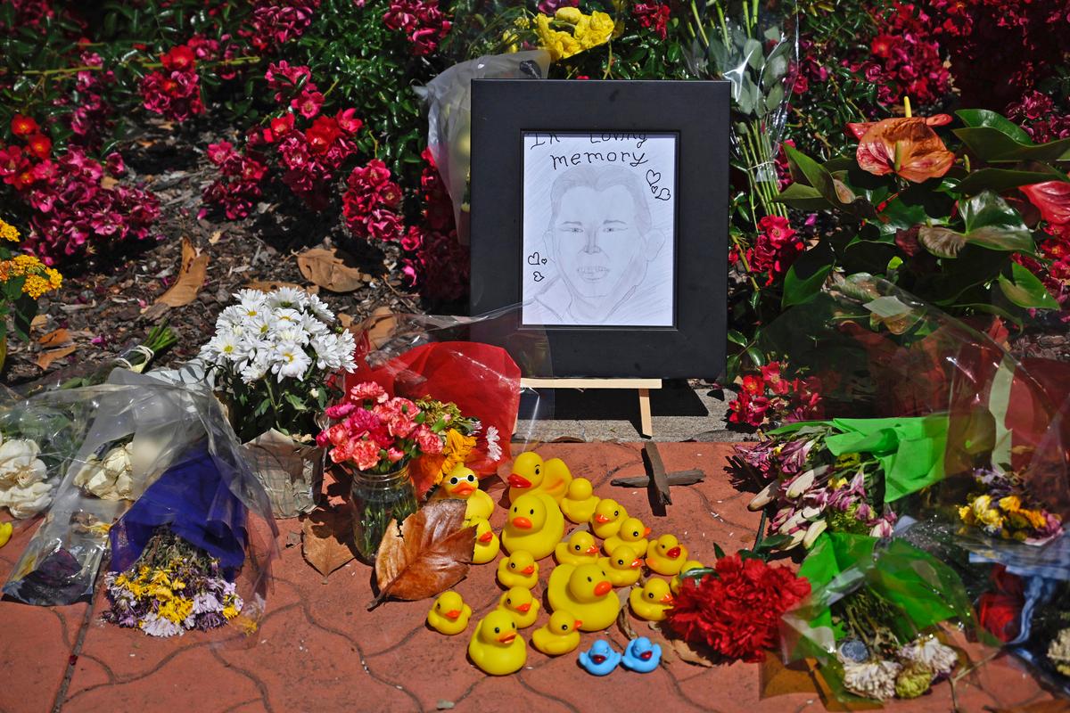 Man Killed While Helping Ducklings Safely Cross Busy California Street