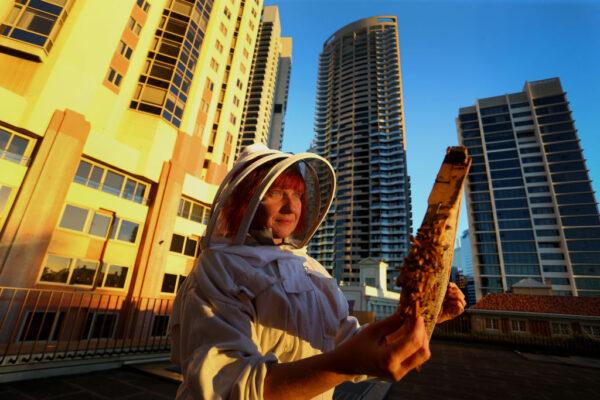 Apiarist Vicky Brown of The Urban Beehive inspects a honeycomb cell from her hives at the Shangri-La Hotel in Sydney on May 14. 2021. (Lisa Maree Williams/Getty Images)