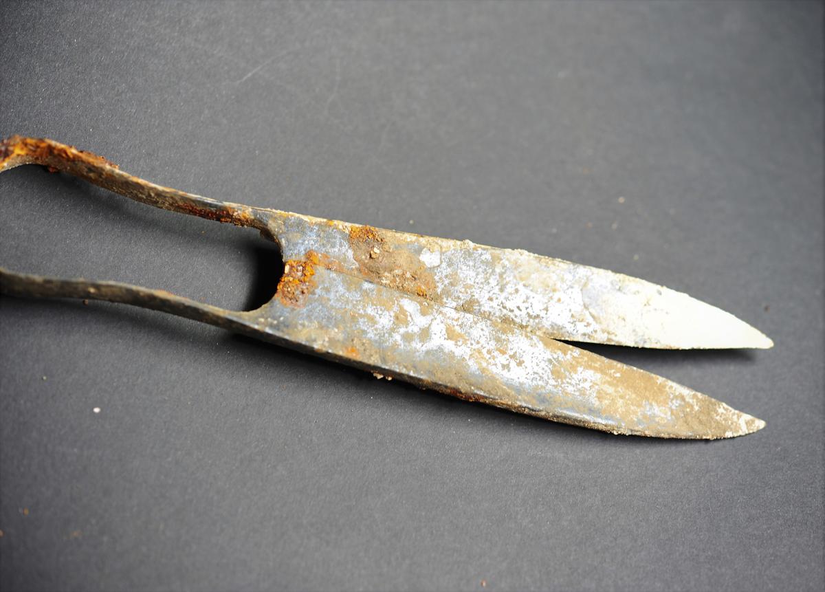 Detail of the over 2,300-year-old scissors found in the Celtic tomb. (Courtesy of <a href="https://www.blfd.bayern.de/">Bavarian State Office for the Preservation of Monuments</a>)