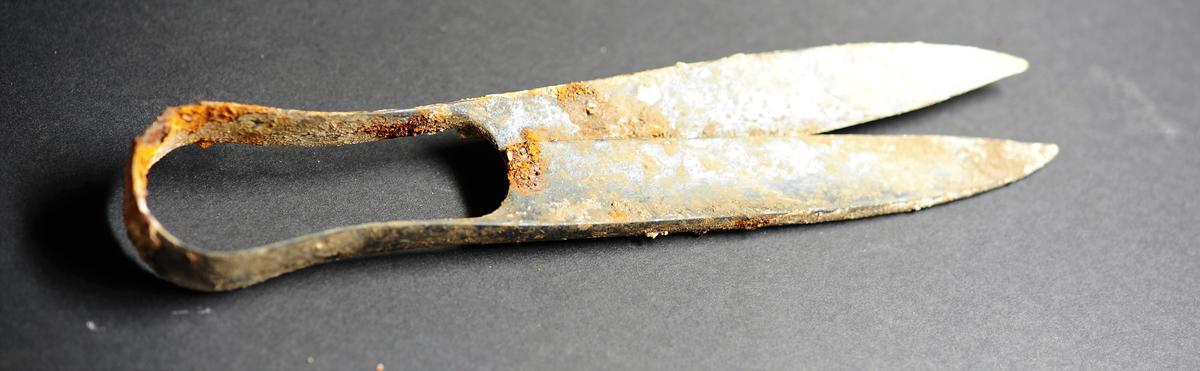 The over 2,300-year-old scissors found in the Celtic tomb in Sendling. (Courtesy of <a href="https://www.blfd.bayern.de/">Bavarian State Office for the Preservation of Monuments</a>)