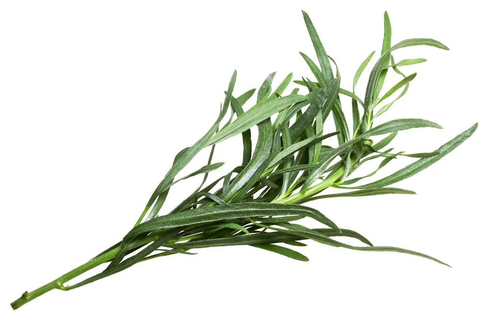French tarragon's aromatic leaves have a flavor akin to aniseed and licorice. (Hortimages/Shutterstock)