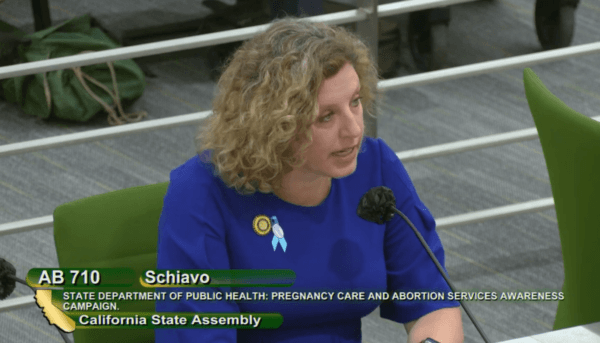 California Assemblywoman Pilar Schiavo, D-Chatsworth, speaks before the state Assembly Health Committee in Sacramento on April 25, 2023. (Screenshot via YouTube/California Family Council)