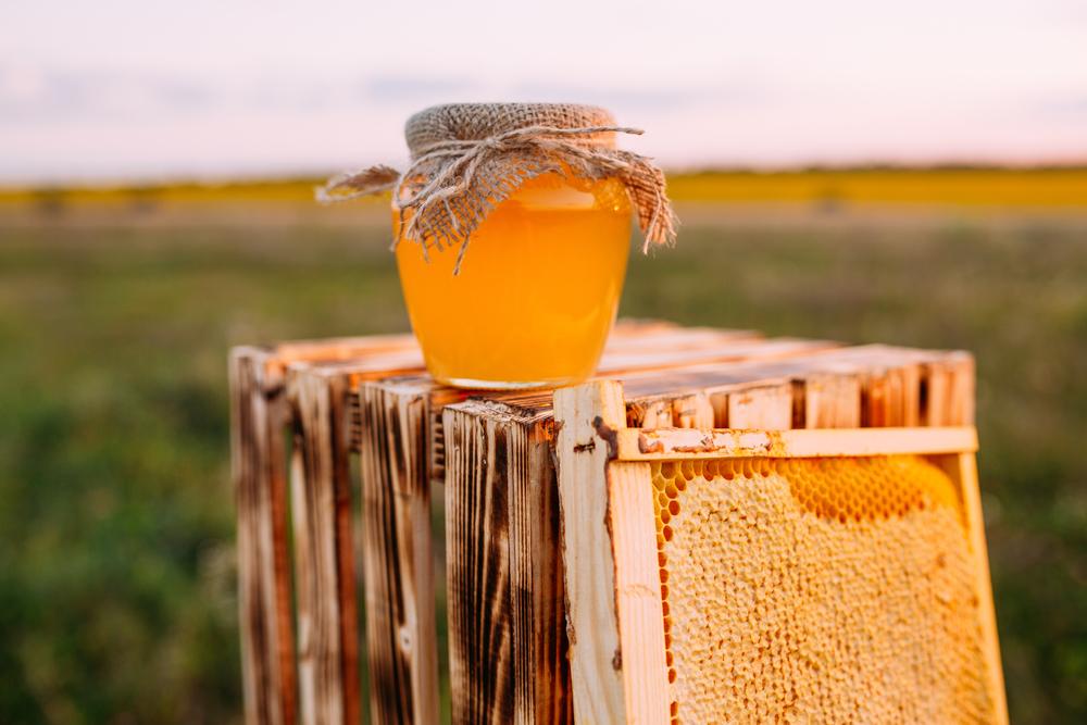 Fresh, raw honey is a golden delight, treasured for its taste and health benefits. (galinskiy_andrey/Shutterstock)