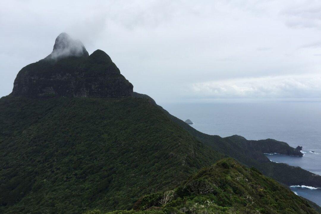 Hotel in Pristine Lord Howe Island Tops List of Best Hotels in South Pacific