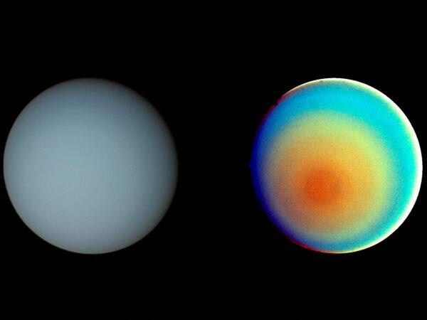 Two pictures of Uranus—one in true color (L) and the other in false color—are shown in a NASA handout obtained on Jan. 20, 2016. (Reuters/NASA/JPL/Handout via Reuters)