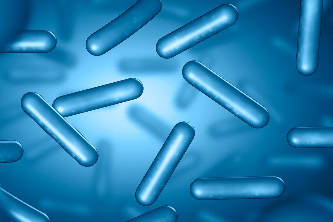 Changes in Gut Bacteria May Cause Parkinson’s: Study