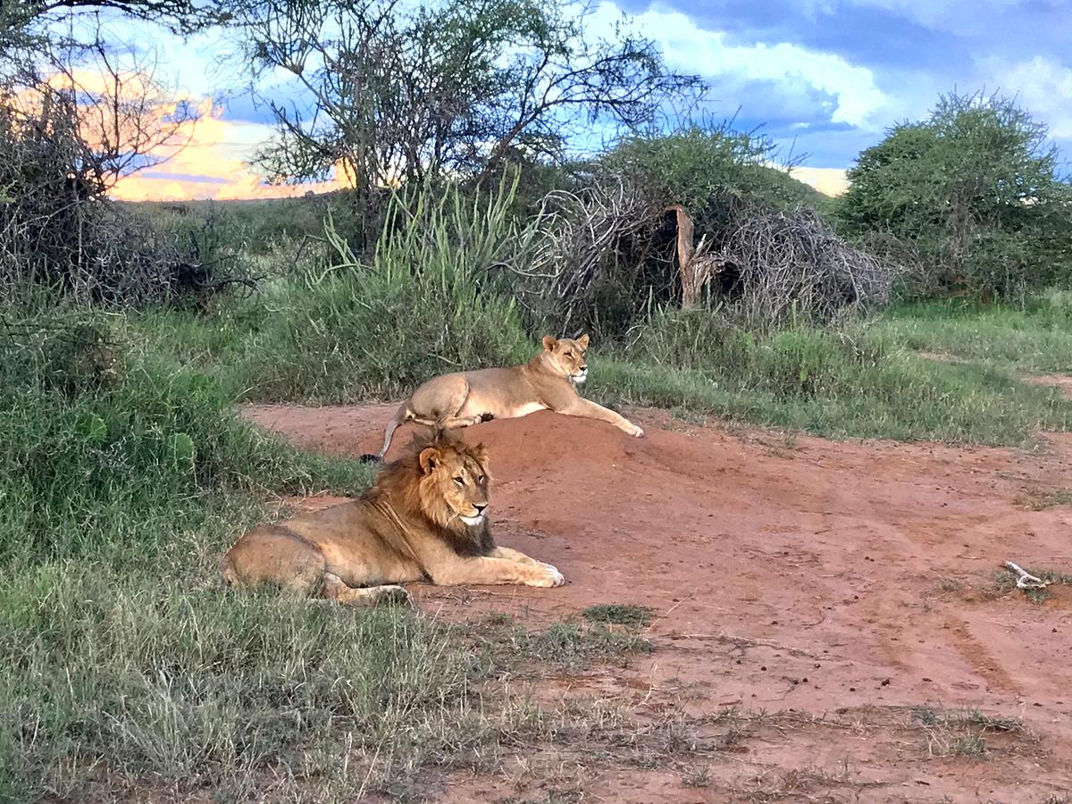 Think a Safari Can’t Be Romantic? Kenya’s Tented Camp Resorts Add Splendor to a Honeymoon Adventure