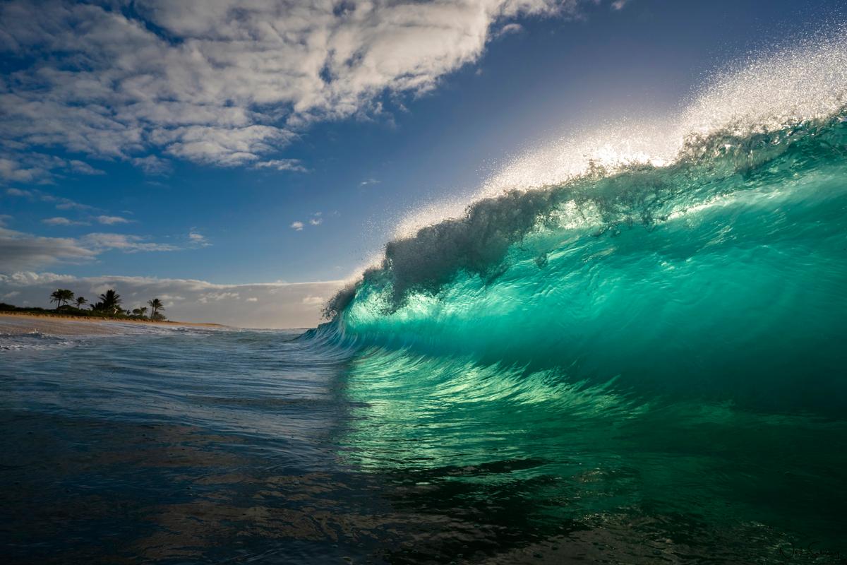"Green Machine" by Nick Selway, photographed at Sandy's Beach, Oahu, Hawaii. (Courtesy of <a href="https://www.nickselway.com/">Nick Selway</a>)