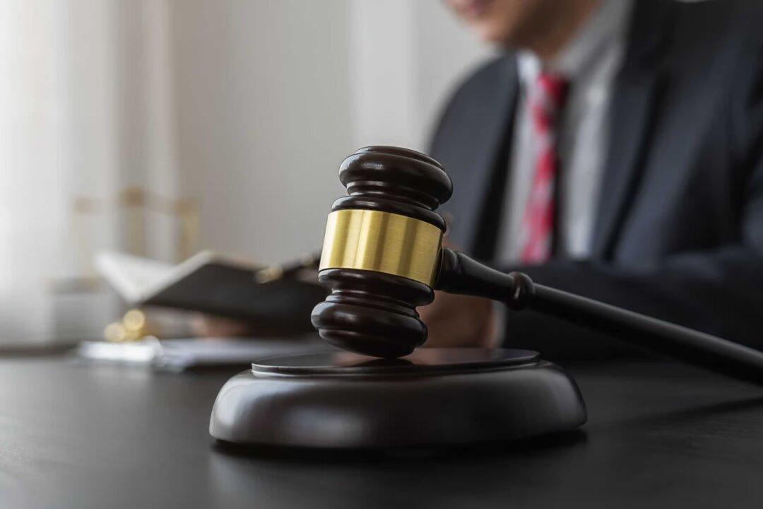 The Censors Are Exposed: Major Update to Missouri v. Biden From Tracy Beanz