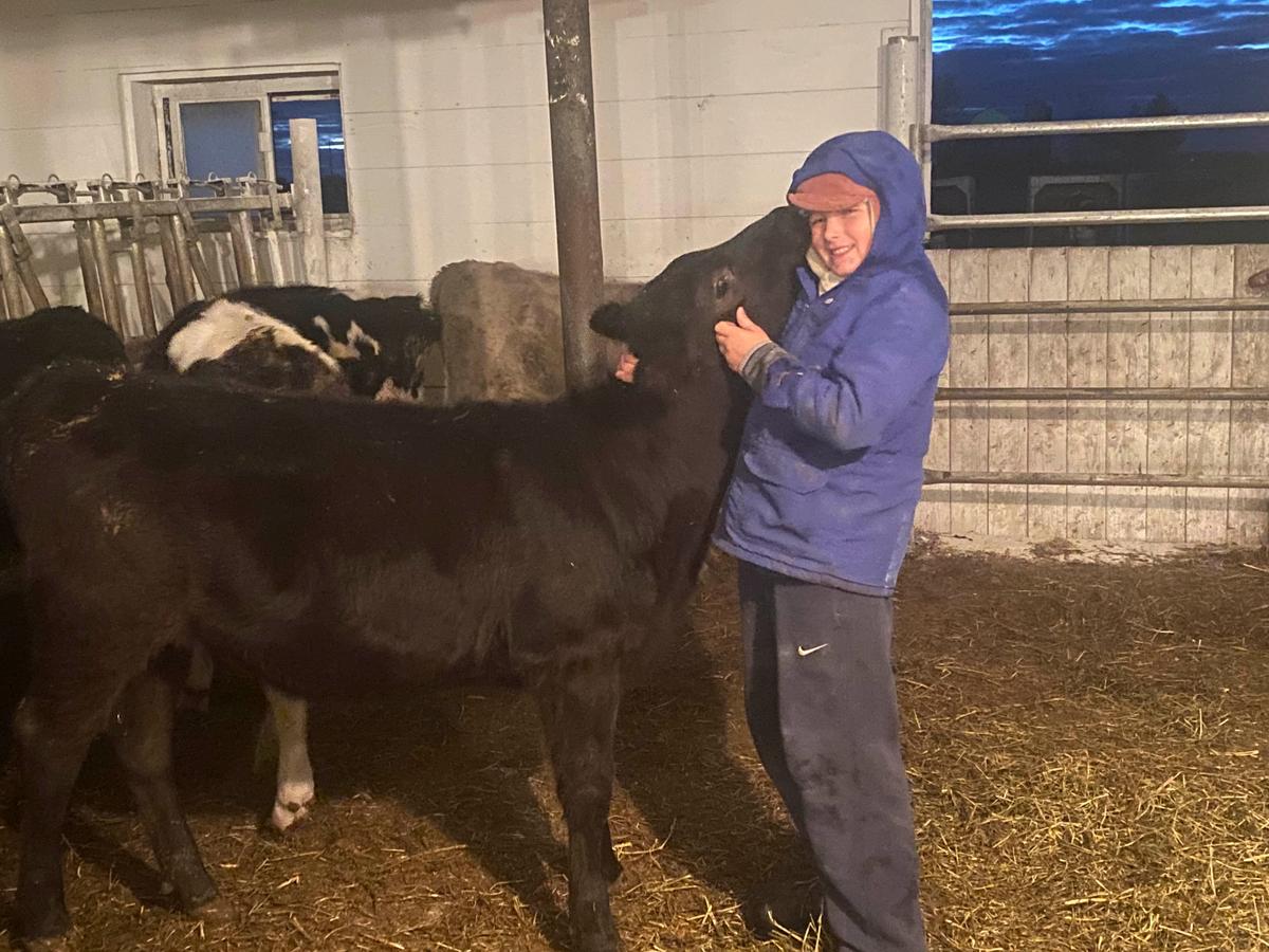 Caleb plays with his favorite calf, “Buster,” when he gives him straw at night. (Courtesy of Jill Bergner)