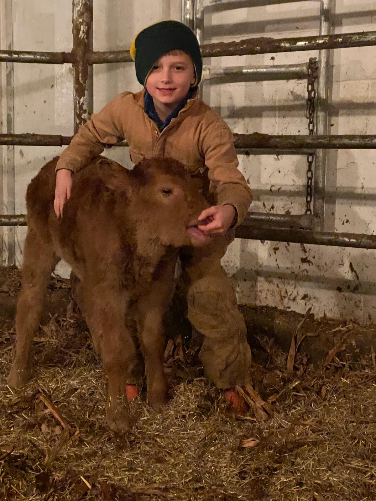 Caleb at 6 years old helping with his newborn beef calf, “Strawberry.” (Courtesy of Jill Bergner)