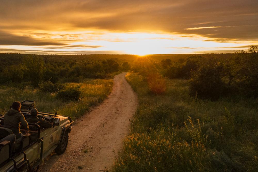 A game drive heads off into the sunrise at Klaserie Private Nature Reserve, South Africa. (Klaserie Drift Safari Camps)