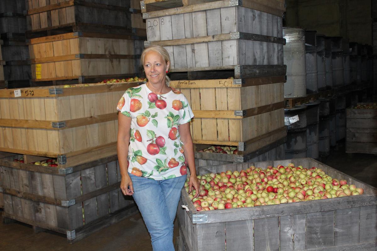 Judy Jacobson of Apple Barn Orchard and Winery in Elkhorn, near Lake Geneva, stands next to a crate of freshly picked apples. The farm also has a lively wine tasting bar and gift shop. (Mary Ann Anderson/TNS)