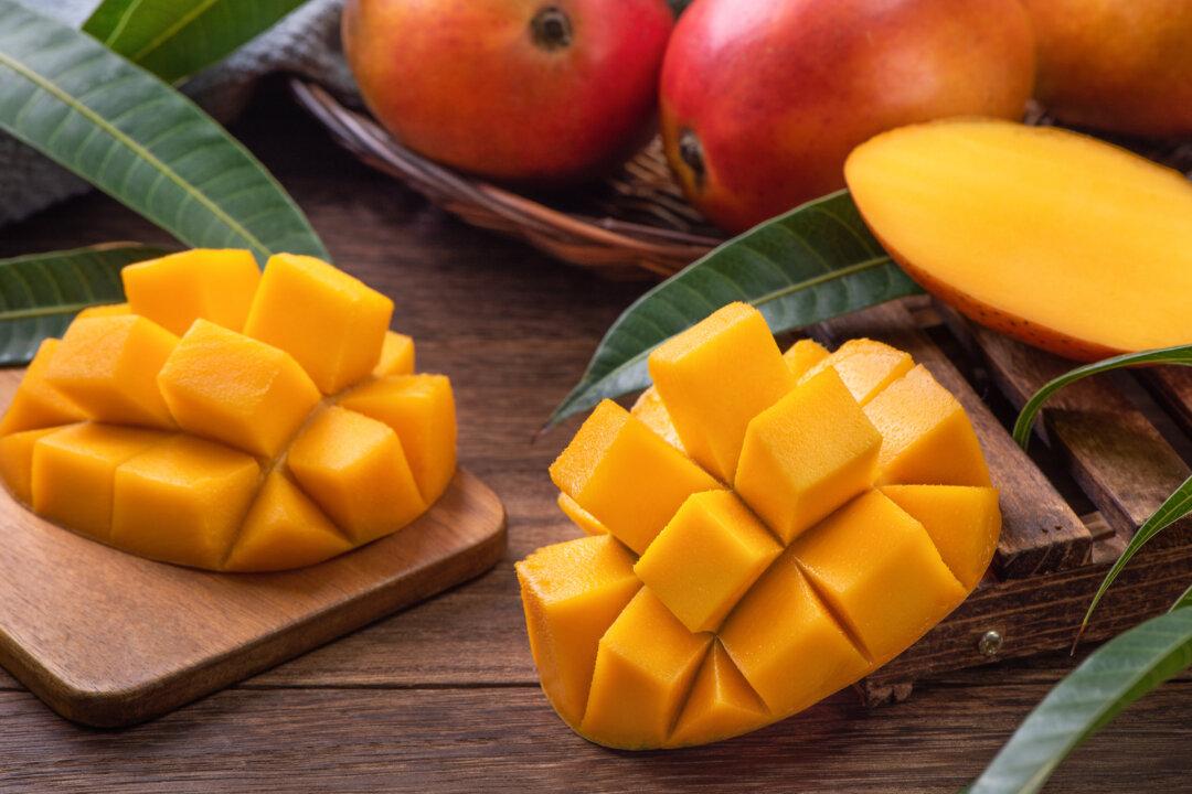 The Magnificent Mango