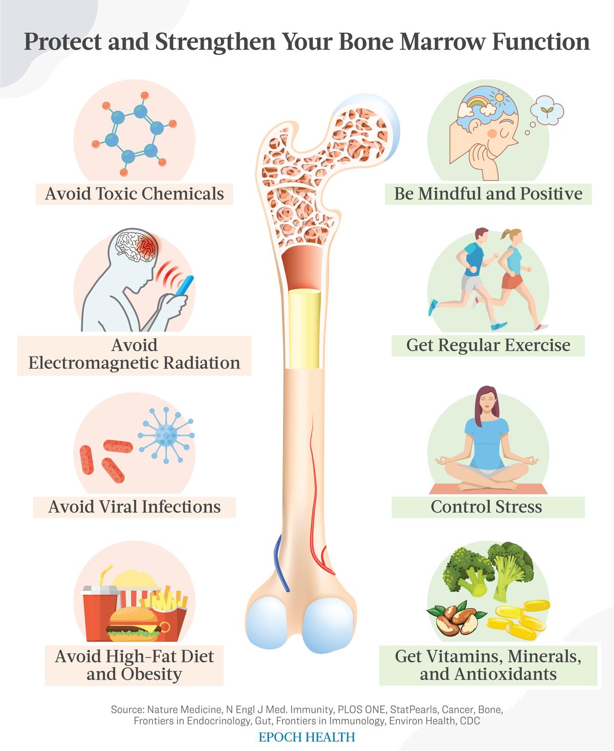 How to Protect and Strengthen Your Bone Marrow Function. (The Epoch Times)