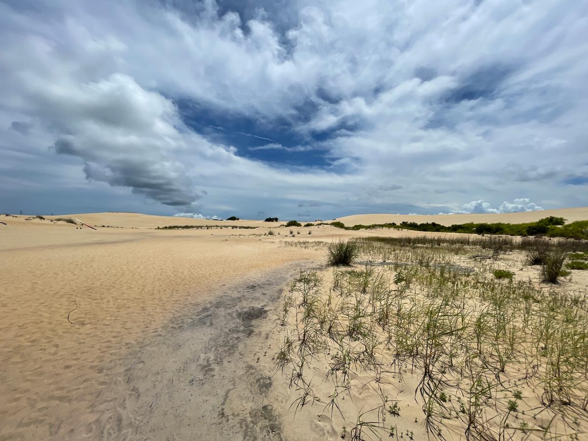 A plaque on the grounds claims that “Jockey Ridge State Park has the tallest natural sand dunes on the eastern coast of the United States, fluctuating between 80 and 100 feet above sea level.” (Lynn Topel)