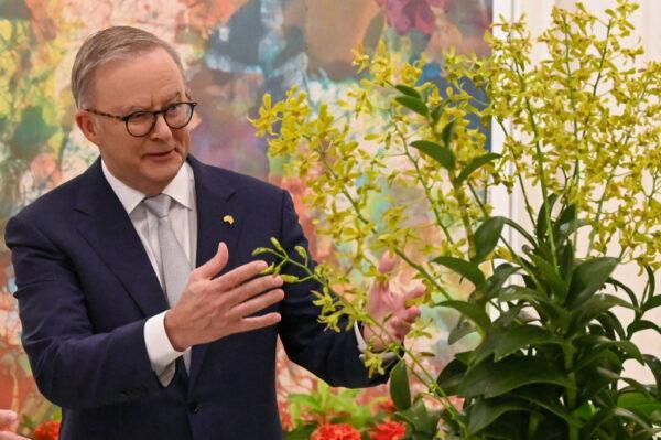 Australia's Prime Minister Anthony Albanese attends an orchid naming ceremony at the Istana presidential palace during an official visit in Singapore on June 2, 2023. (Roslan Rahman/POOL/AFP via Getty Images)