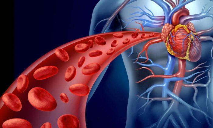 Nourish the Heart and Blood Vessels With These 5 Foods, Plus 2 Cardioprotective Acupoints