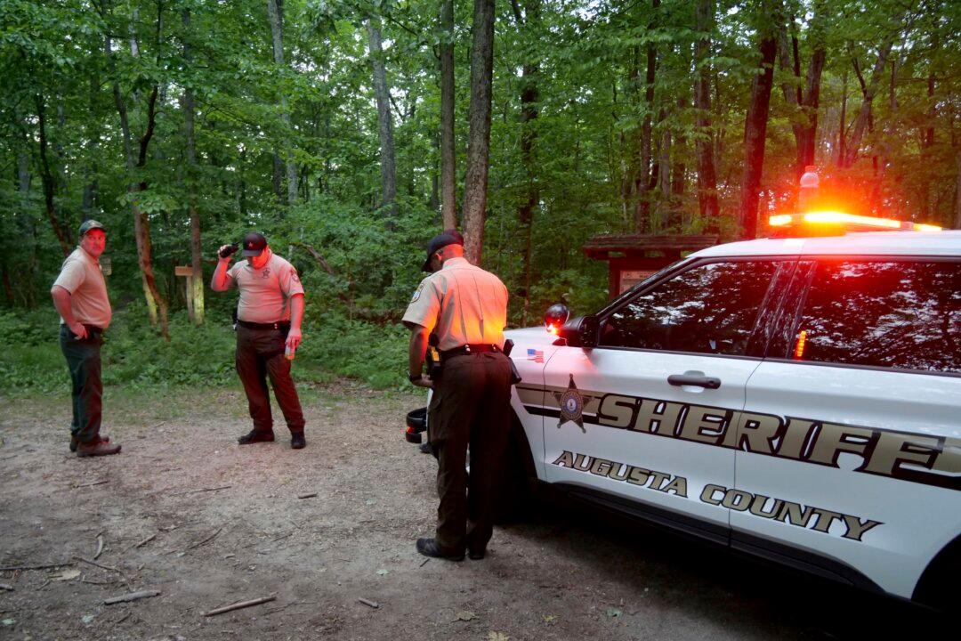 Plane That Flew Over DC Crashed Almost Straight Down at High Speed, Report Says