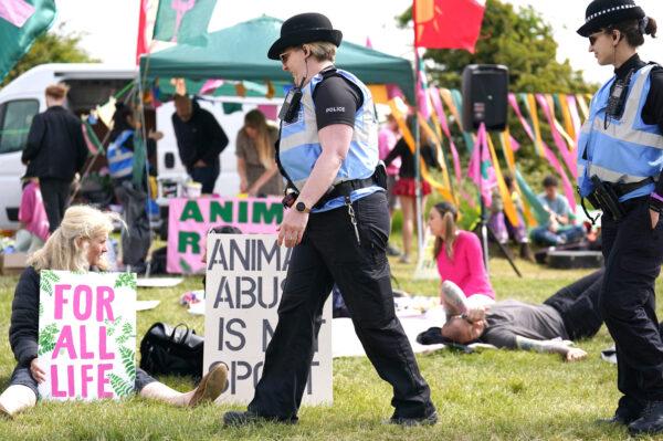 Police liaison officers walk past members of the protest group Animal Rising, after they were allocated a space near the entrance to Epsom Downs Racecourse in Surrey, England, on June 3, 2023. (PA)