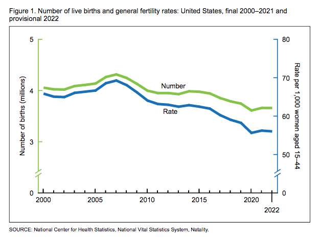 Numbers of live births and general fertility rates have been declining since 2014, although they slightly bounced back in 2021. (U.S. Centers of Disease Control and Prevention)