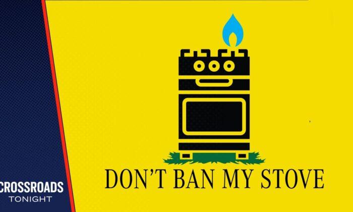 Government's Ban Isn’t Only About Gas Stoves