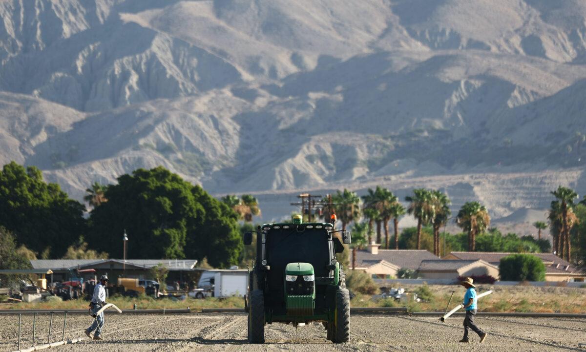 Farm workers move piping used to irrigate a field near Palm Desert, Calif., on July 13, 2022. (Mario Tama/Getty Images)