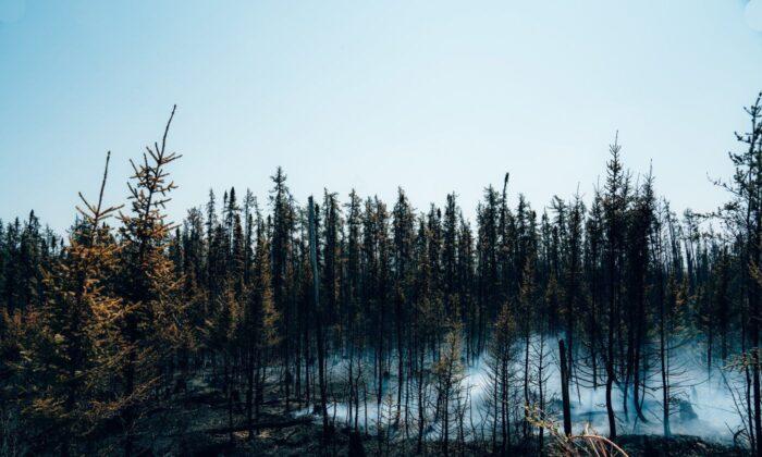 Wildfire, Shifting Winds Force Evacuation of Northern Quebec Communities