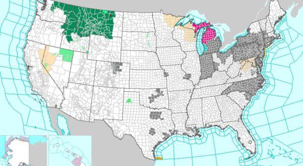 A National Weather Service map, dated June 8, 2023, shows air quality alerts in black across the East Coast. (NWS)