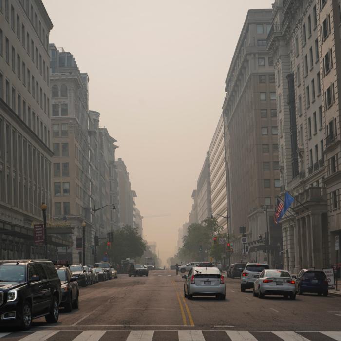 The Epoch Times