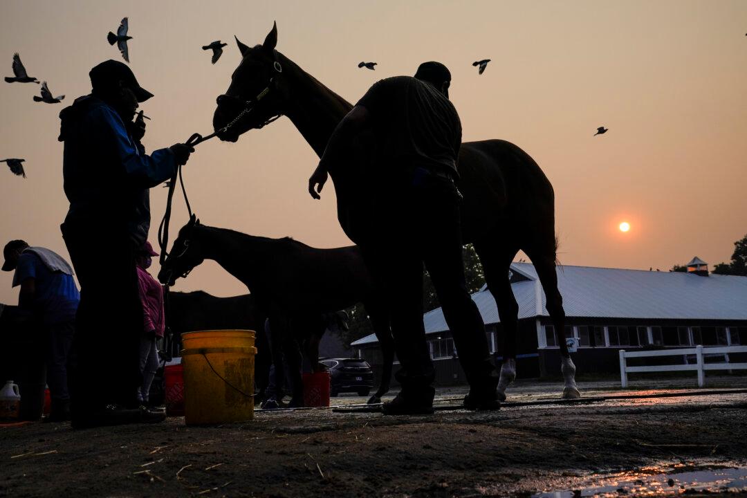 Belmont Park Resumes Live Racing After Air Quality Improves Ahead of Belmont Stakes