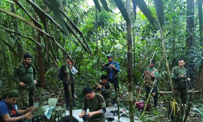 4 Colombian Children Found Alive in Jungle Weeks After Plane Crash