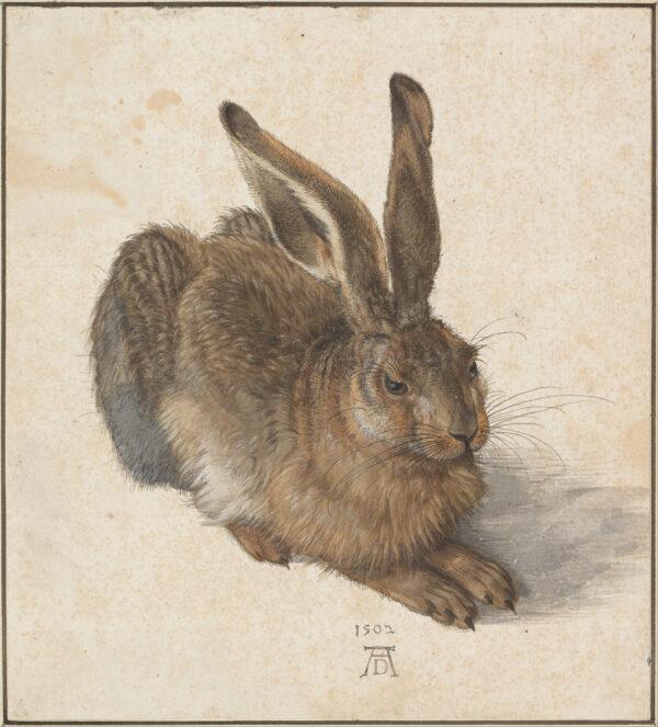 "Young Hare," 1502, by Albrecht Dürer. Watercolor and gouache on paper; 9.9 inches by 8.9 inches. Albertina Museum, Vienna. (Public Domain)